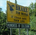 Image for Hundreds of Moose Collisions, New Hampshire