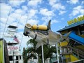 Image for Shark!!! @ Wahoo's Bar & Grill - Islamorada, Florida
