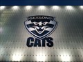 Image for Cats Home, Geelong, Victoria