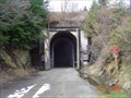 Image for Snoqualmie Train Tunnel