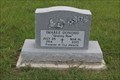 Image for 100 - Imaree Donoho - Sadler Cemetery - Sadler, TX