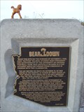 Image for Bear Down