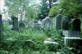 Image for Jewish cemetery - Golcuv Jenikov, Czech Republic