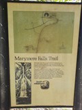 Image for Marymere Falls Trail - Olympic National Park, WA