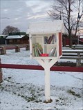 Image for My Little Library - Rice, Minn.