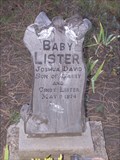 Image for Baby Lister - Hilltop Cemetery - Pagosa Springs, CO