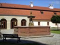 Image for Castle / zámek, Podebrady, Czech Republic