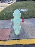 Image for George's Greenhouse Hydrant - Emmaus, PA, USA