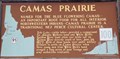 Image for #100 - Camas Prairie