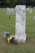 Image for Elhanon W. Johnson - Union Cemetery - Freestone County, TX