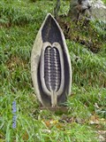 Image for 'Seed Pod', The Dingle, Llangefni, Ynys Môn, Wales