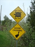 Image for Beware of Turtles and Geese