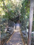 Image for Second Suspension Bridge - Lower Falls Walk, Minnamurra Rainforest, Jamberoo, NSW