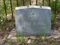 Image for Fannie B. Hiatt - Ute Cemetery - Aspen, CO, USA