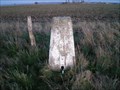 Image for Charlton Clumps Triangulation Pillar, Wiltshire