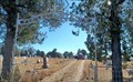 Image for Plevena Cemetery - Plevena, KS