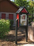 Image for Little Free Library #38620 - Luverne, Minn.