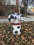 Image for Dalmatian Hydrant - Chicago, IL