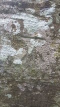 Image for Benchmark - St Mary - Marden, Herefordshire