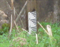 Image for water gauge  Nr Flore - Northant's