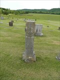 Image for Wallie W. Perkins - Layton Cemetery - Yellville, Arkansas