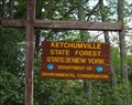 Image for Ketchumville State Forest - Tioga Co., NY