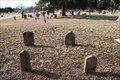 Image for Lee Family Graves -- Fitzhugh Cemetery, Lucas TX