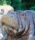 Image for Olga the Walrus - Brookfield Zoo