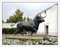 Image for Fighting Bull / Toro de Lidia - Ronda, Spain