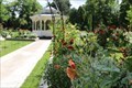Image for Rosengarten im Stadtpark / Rose garden in the city park - Wr. Neustadt, Austria