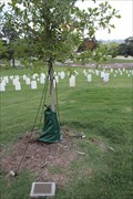 Image for Medal of Honor Recipients -- Chattanooga National Cemetery, Chattanooga TN