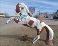 Image for War Horse - Shawnee, OK