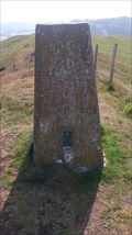 Image for Triangulation Pillar, Pentre'r Beirdd, Powys, Wales, UK
