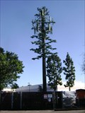 Image for Woman's Club Tower - Garden Grove