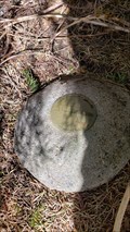 Image for Guy "Pinball" Hammer — Hembre Ridge, Oregon