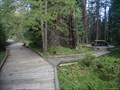 Image for Williams Fork Boardwalk - Grand County, CO