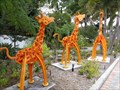 Image for Giraffe Family - Museum of Whimsy - Sarasota, Florida, USA.