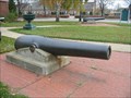 Image for Wayne Historical Museum Cannons