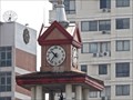 Image for Clock, Srinakharinwirot University—Bangkok Thailand