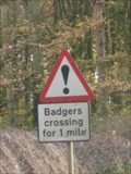 Image for Badger Crossing - Lamport, Northamptonshire, UK