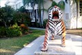 Image for Glynn R. Archer Elementary School Tiger - Key West, FL