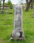 Image for Will L. McGavic - Hardy Cemetery - Hardy, Ar.
