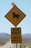 Image for 110 Miles of cattle, Crystal Springs, Nevada