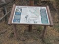 Image for Mountain Lions - Los Gatos, CA