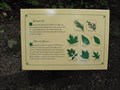 Image for Hardwood Trees Identification Sign - Cape Breton Highlands National Park - NS