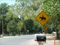 Image for Horseback Rider Crossing - Albuquerque, New Mexico
