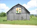 Image for Tennessee Tulip at Kiley Barn-Shady Valley,  TN