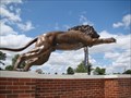 Image for Numa the lion  - University of Arkansas - Ft. Smith, AR