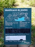 Image for Identificació de plantes - Barcelona, Spain