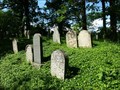 Image for židovský hrbitov / the Jewish cemetery, Zalužany, okres Príbram,  Czech republic